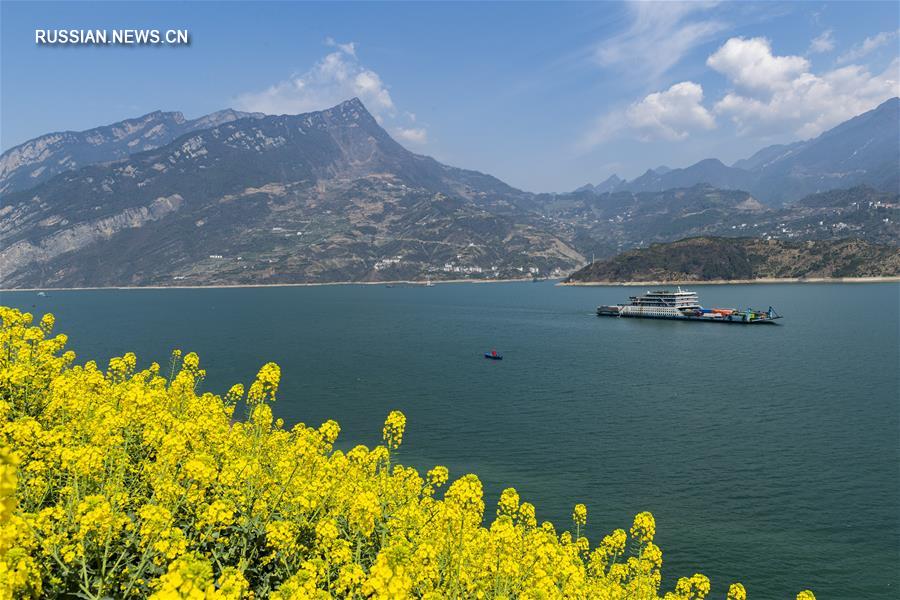На фото -- наполненный ароматом цветов теплый весенний день в Китае. 