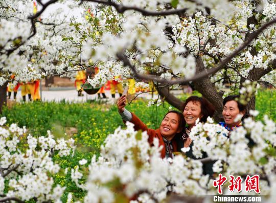 Десять мест для любования цветами в Китае этой весной