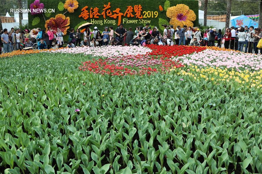 Сянганская выставка цветов, проходящая в парке Виктория в ОАР Сянган, привлекает многочисленных посетителей. 