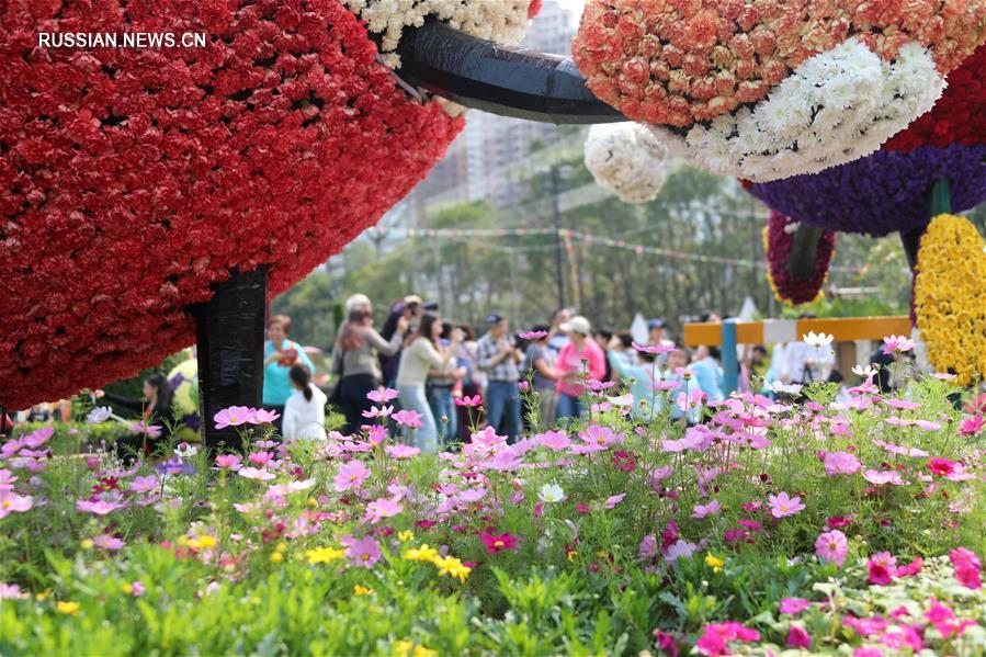 Сянганская выставка цветов, проходящая в парке Виктория в ОАР Сянган, привлекает многочисленных посетителей. 