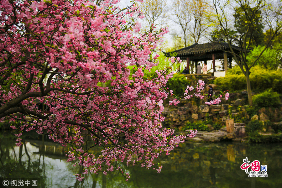 Сучжоу: очаровательные весенние пейзажи