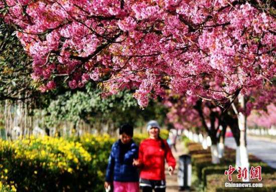 Десять популярных туристических направлений в праздник Цинмин