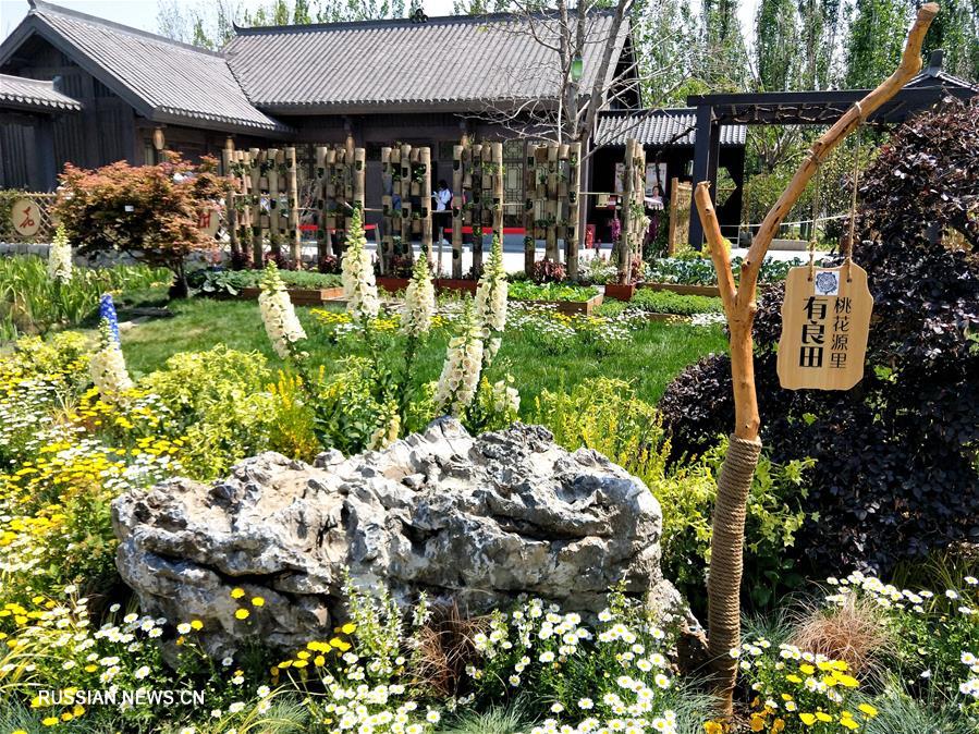 На фото -- цветочные и растительные композиции на Всемирной выставке садово-паркового искусства-2019 в Пекине. 
