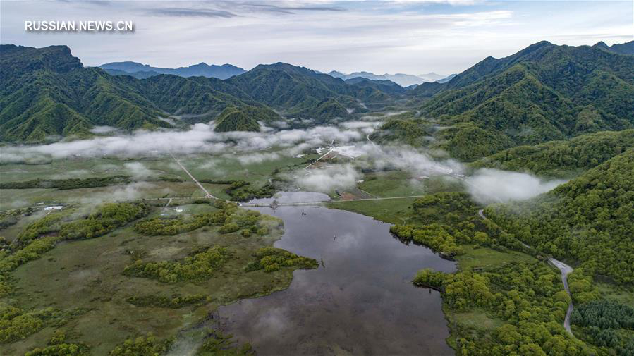 Май на озере Дацзю в лесном районе Шэньнунцзя 