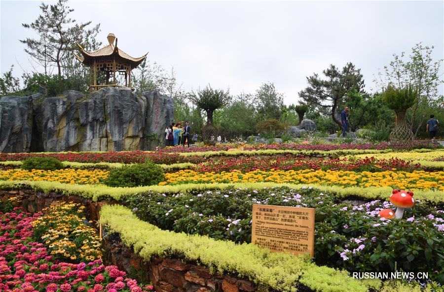 В парковой зоне Международной садоводческой выставки "ЭКСПО-2019" проходит "День провинции Цзянси"