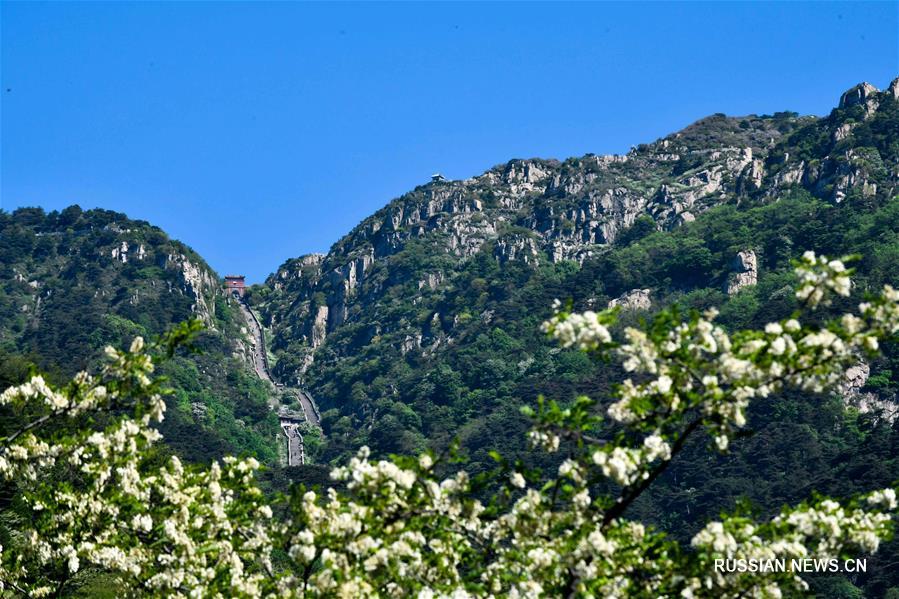 В период с 20 по 22 июня на Всемирной садоводческой выставке в Пекине отмечается "Дни провинции Шаньдун", в течение которых данная провинция представит миру свою многообразную культуру. 