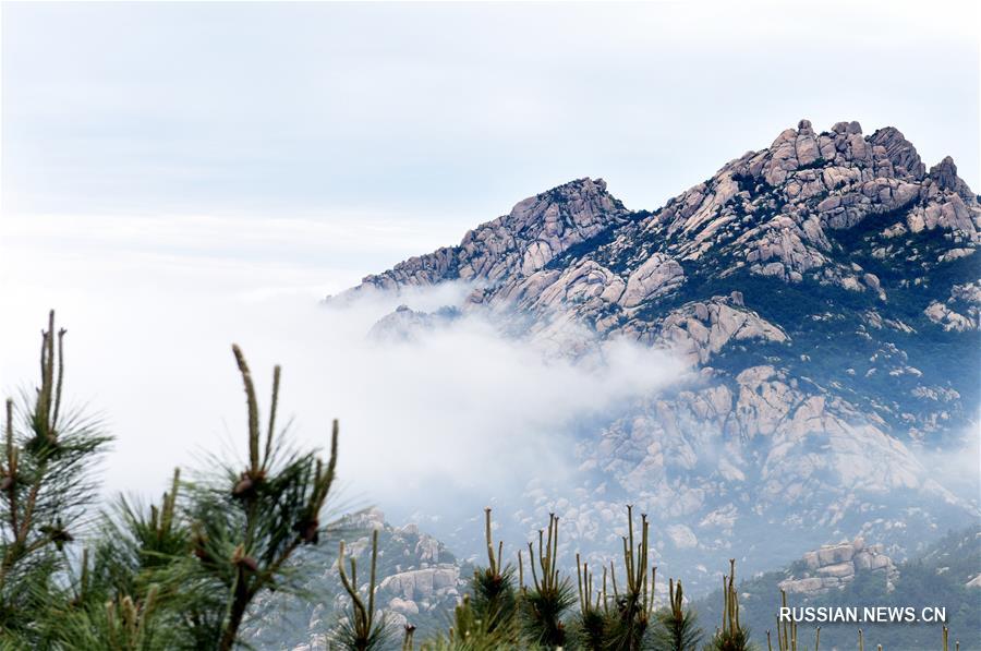 В период с 20 по 22 июня на Всемирной садоводческой выставке в Пекине отмечается "Дни провинции Шаньдун", в течение которых данная провинция представит миру свою многообразную культуру. 
