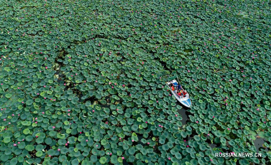 Зеленый Китай -- Провинция Хубэй 