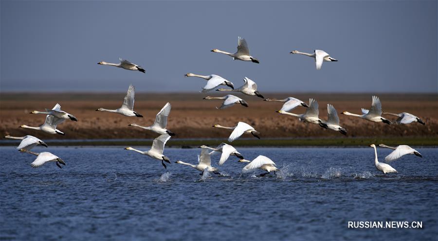 Зеленый Китай -- Провинция Хунань