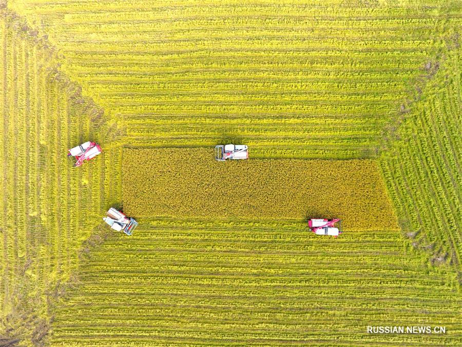 Зеленый Китай -- Провинция Хунань