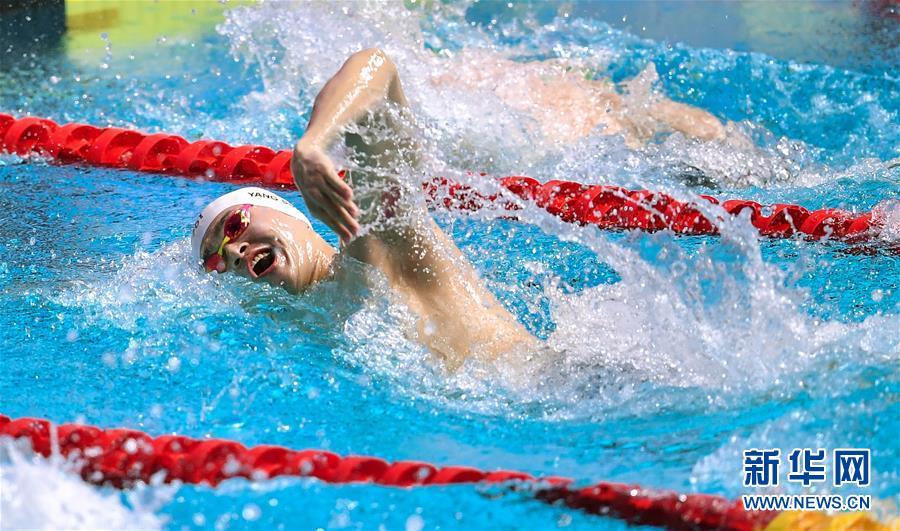 Чемпионат мира по водным видам спорта: китайский пловец Сунь Ян победил на дистанции 200 м вольным стилем
