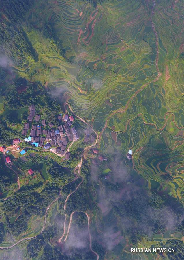 Живописные пейзажи террасированных полей в Гуанси-Чжуанском автономном районе 