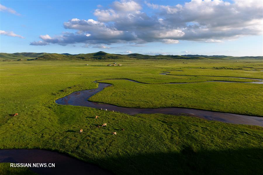 Очарование бескрайних степей Внутренней Монголии 