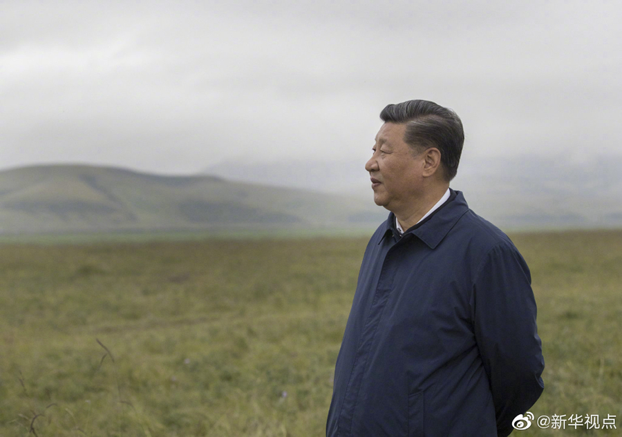 Си Цзиньпин подчеркнул важность охраны экологической среды