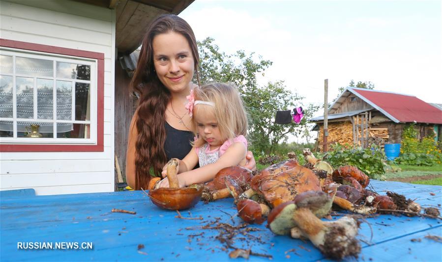 В Беларуси начался грибной сезон