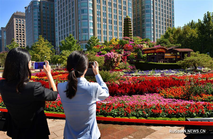12 цветочных клумб появились вдоль проспекта Чанъаньцзе по случаю празднования 70-летия образования КНР 