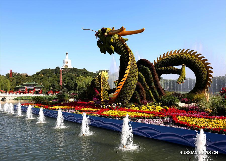 Парки в Пекине украсили новыми цветочными клумбами 