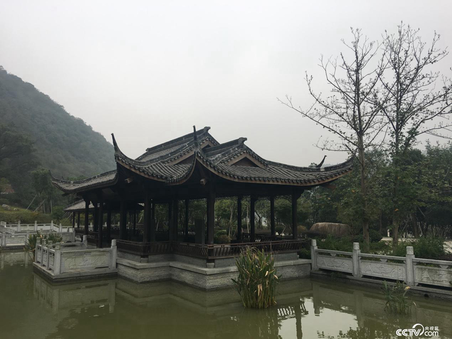 Прекрасные реки и озера города Шэнчжоу провинции Чжэцзян: «люди и вода крепко связаны, а также зависят друг от друга»