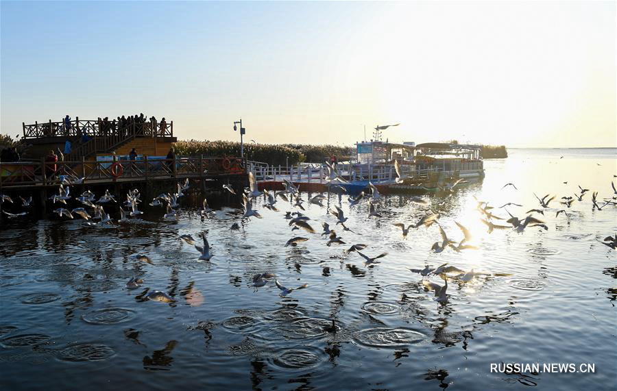 Колыхание волн на озере Гашун-Нур -- свидетельство его возрождения 