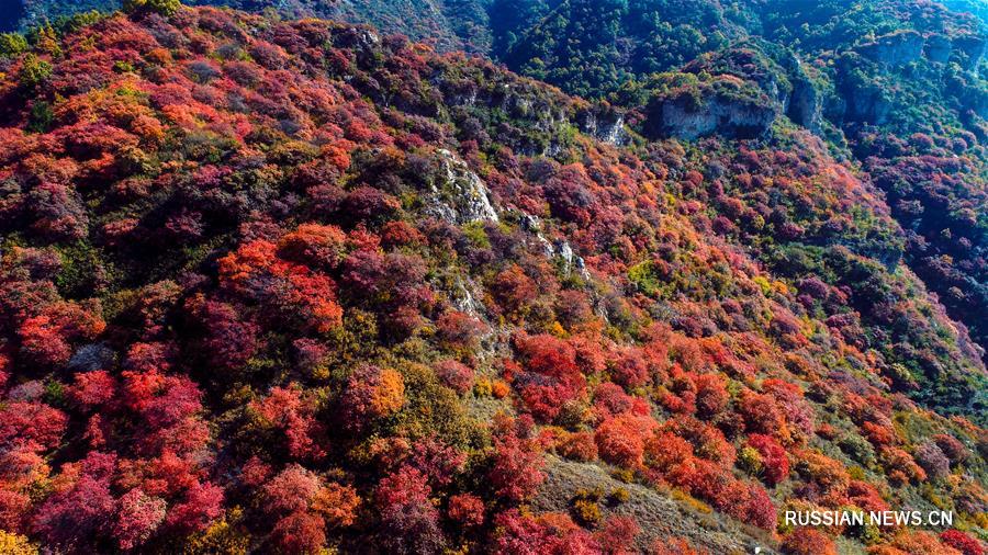 Осенняя красота гор Тайханшань