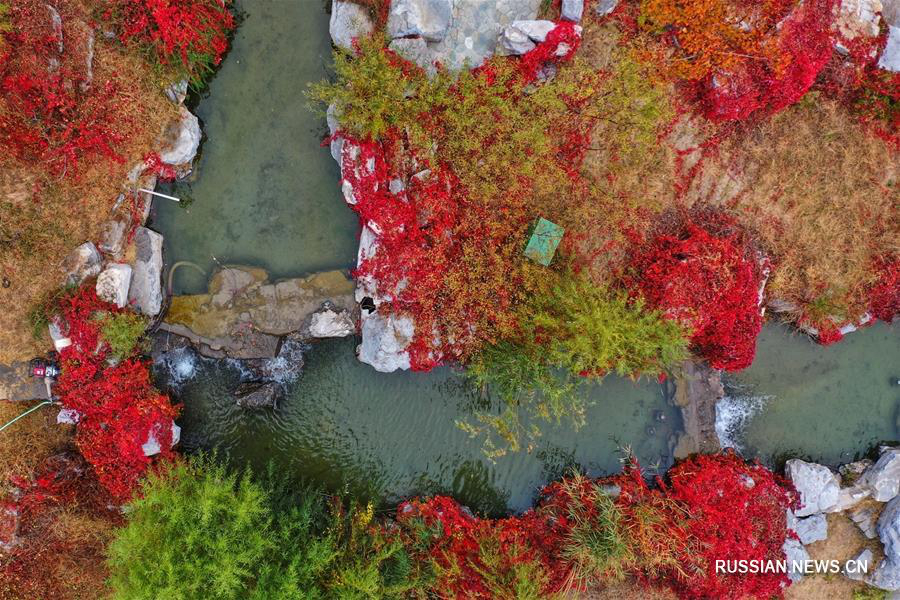 Осенние виды озера Наньху в Таншане 