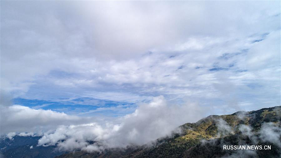 Дивное облачное море в ландшафтном парке Шэньнунцзя 