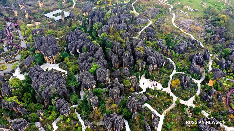 Каменный лес Хэйшицзин в провинции Юньнань 