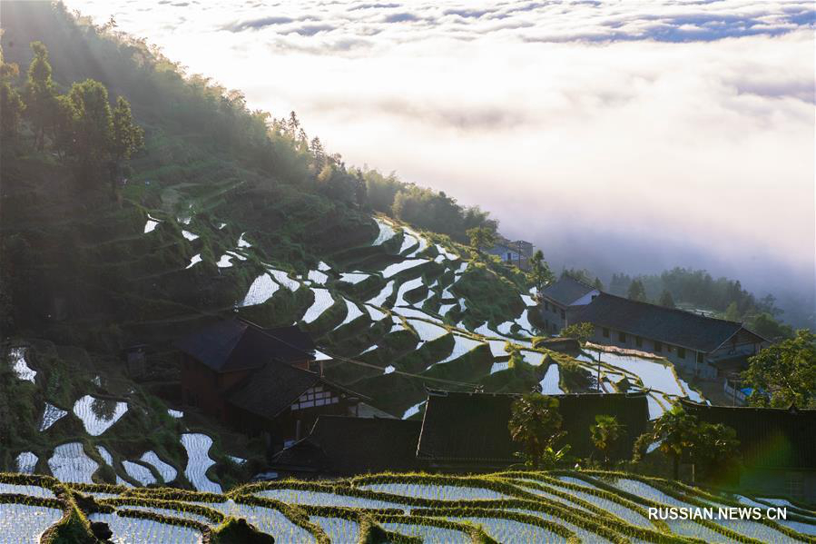 Террасные поля Цзыцюэцзе в провинции Хунань