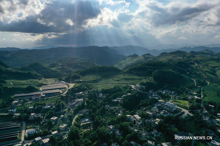 Деревня Хайцюэ превратила "зеленые горы и изумрудные реки" в "горы золота и серебра" 