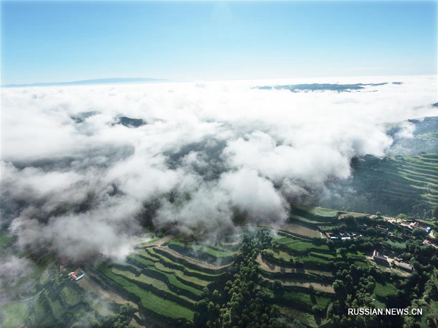 Облачная дымка над террасными полями в провинции Ганьсу 