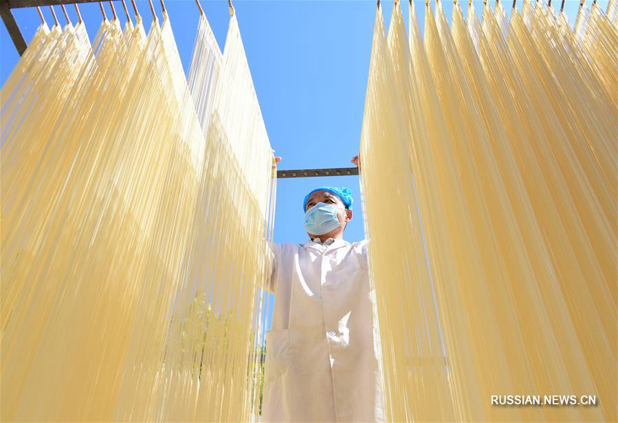 Изготовление лапши приносит дополнительный доход жителям уезда Цюйчжоу 