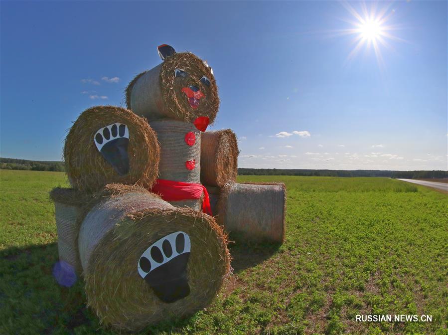 В Беларуси завершилась уборка зерновых, и на обочинах дорог по-традиции появились скульптуры из соломы: замки, разнообразные машины и животные. 