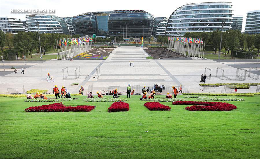 Шанхай украшают картинами из цветов в преддверии 3-го импортного ЭКСПО 