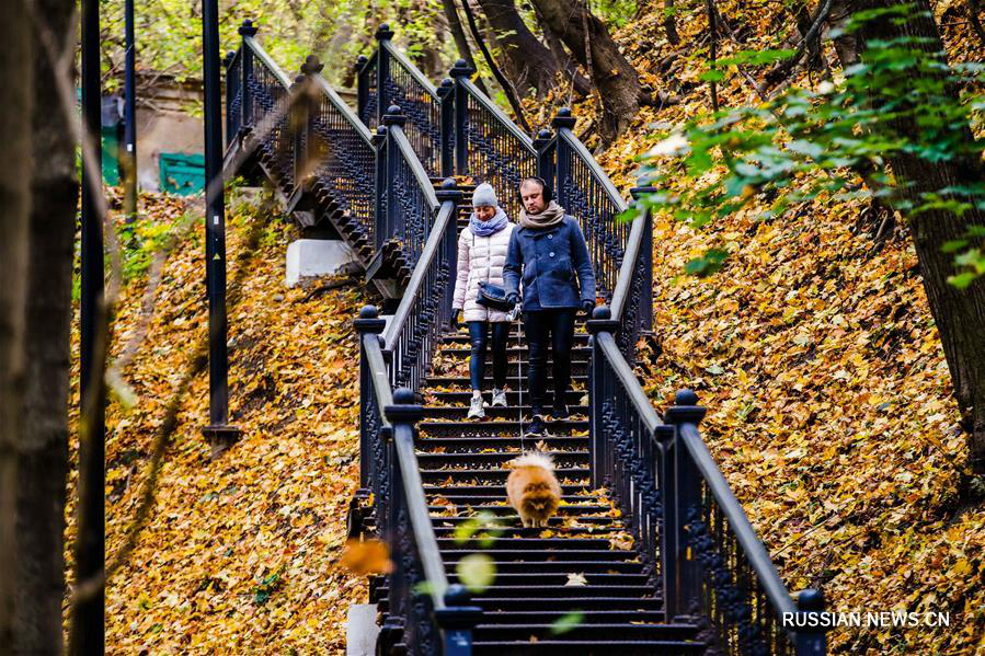 Золотая осень в московских парках 