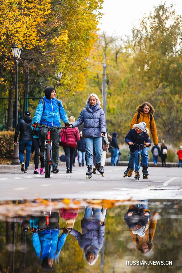 Золотая осень в московских парках 