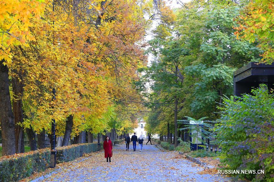 Золотая осень в Бишкеке
