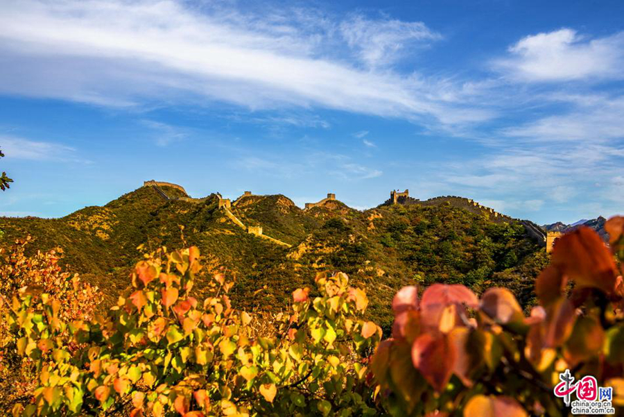 Осенние пейцзажи на участке Великой китайской стены Цзиньшаньлин