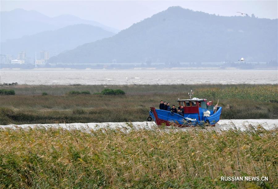 Национальный парк водно-болотных угодий в устье реки Миньцзян