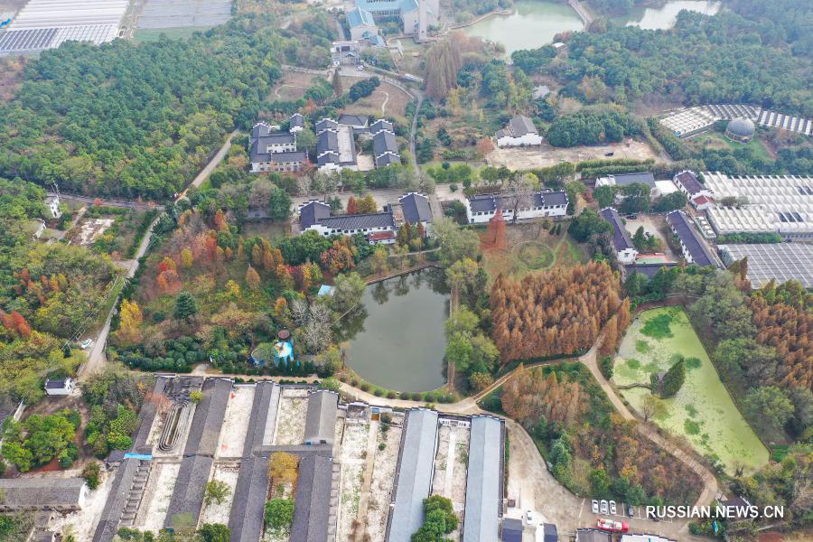 Колоритная осень в музейном парке провинции Цзянсу 