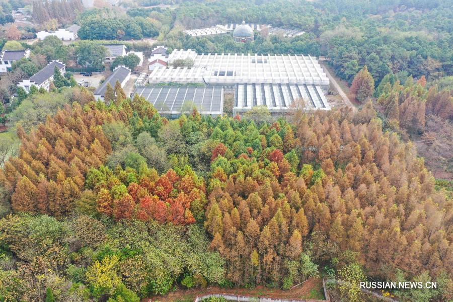 Колоритная осень в музейном парке провинции Цзянсу 