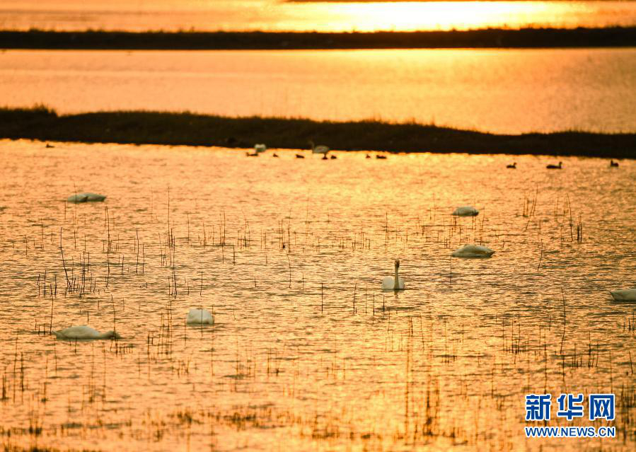 «Лебединое озеро» в городе Нанкин