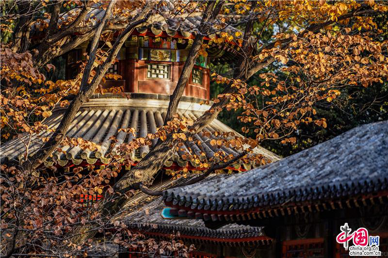 Пекинский парк Ихэюань поздней осенью
