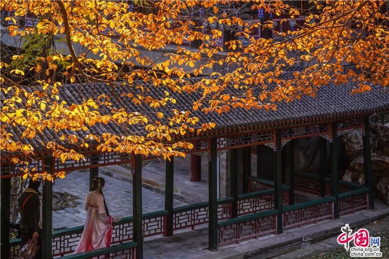 Пекинский парк Ихэюань поздней осенью