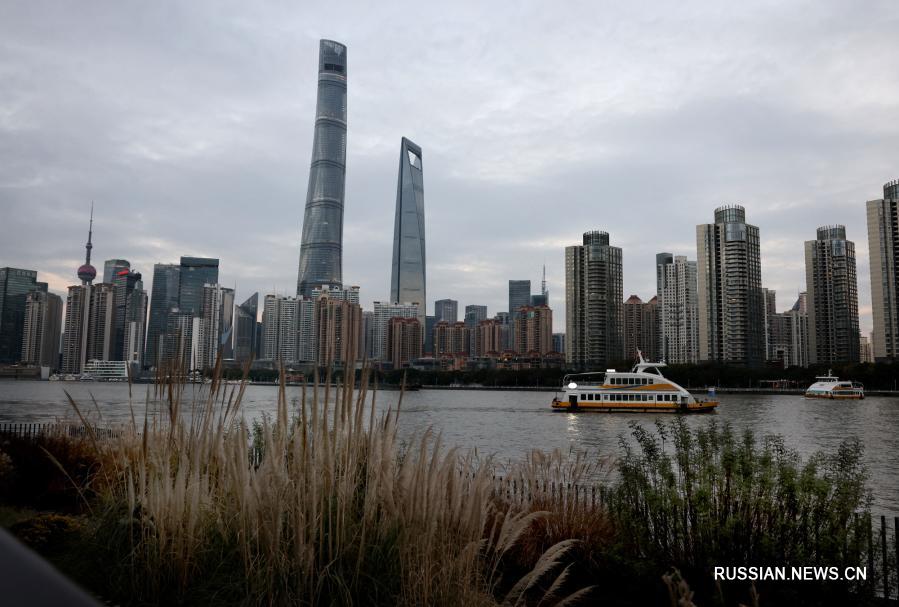 В начале зимы у всевозможных растений, посаженных на улицах Шанхая /Восточный Китай/, наступает самый пестрый и колоритный сезон. Прохожим кажется, будто они идут по ожившей картинной галерее.
