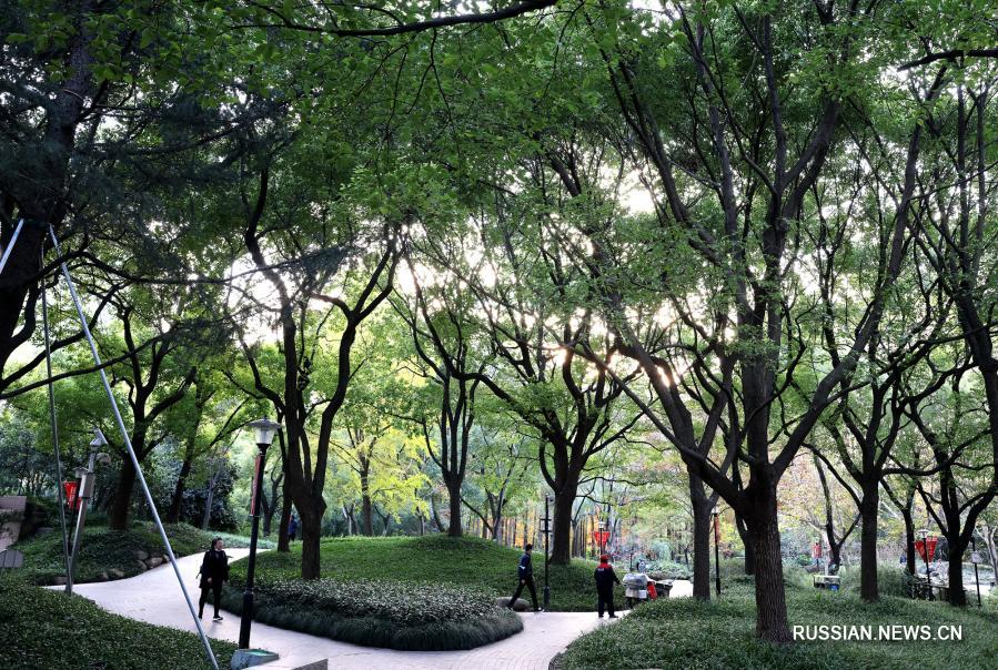 В начале зимы у всевозможных растений, посаженных на улицах Шанхая /Восточный Китай/, наступает самый пестрый и колоритный сезон. Прохожим кажется, будто они идут по ожившей картинной галерее.