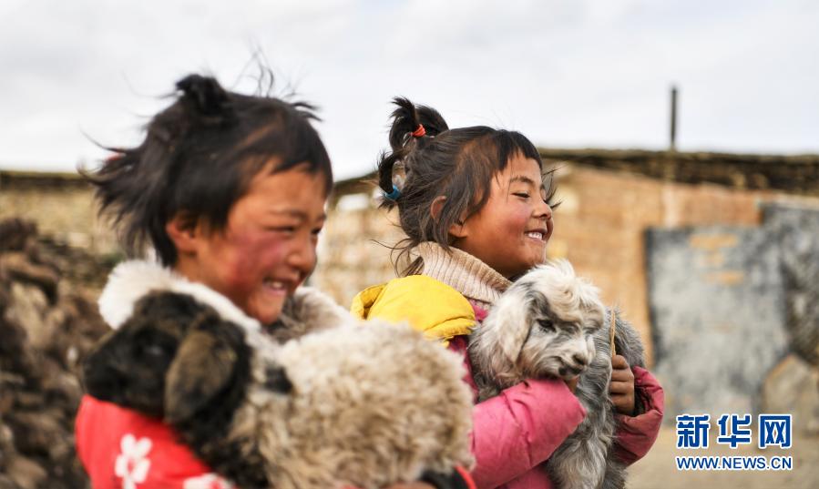 Производство и условия жизни пастухов самого высокогорного поселка Китая значительно улучшились 