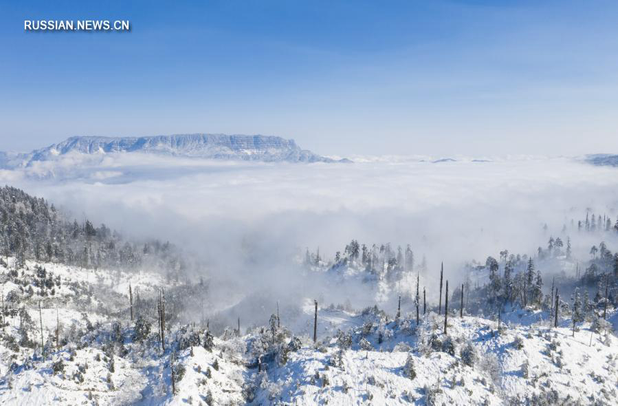 Государственный лесопарк Лунцангоу под снегом