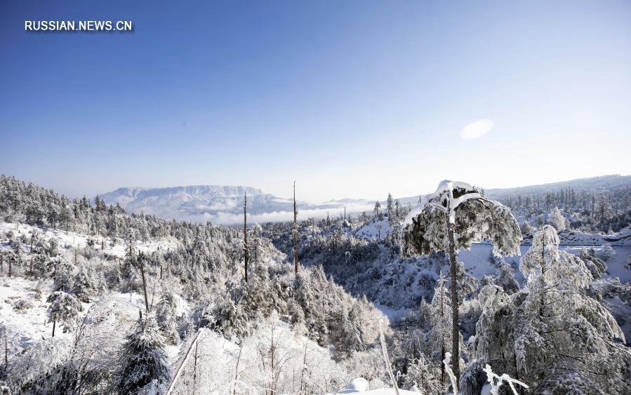 Государственный лесопарк Лунцангоу под снегом