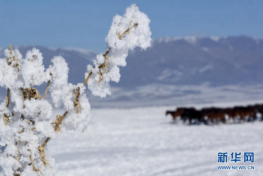 Зимнее очарование в Или-Казахском автономном округе СУАР