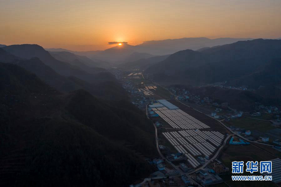 Провинция Юньнань: индустрия клубники стимулирует сельское развитие